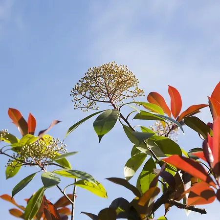 博尔戈圣贝乡村民宿 乡村民宿 *