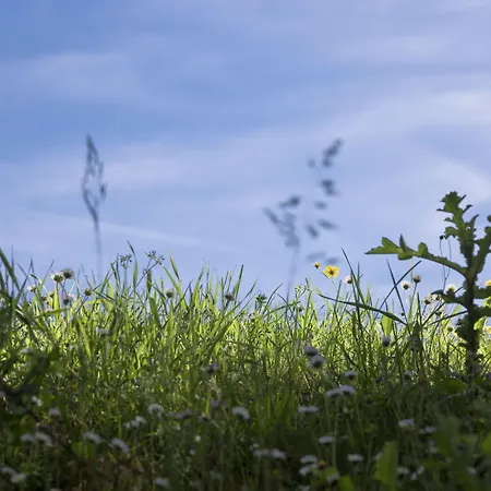 博尔戈圣贝乡村民宿 乡村民宿
